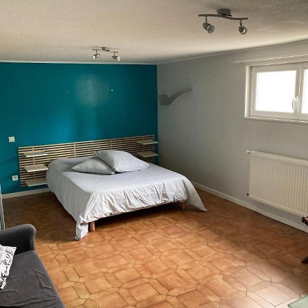 Appartement En Rez-De-Chaussee De Maison Montanay Екстер'єр фото